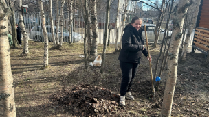 Женщина осуществляет сбор сухой листвы с поверхности земли при помощи граблей